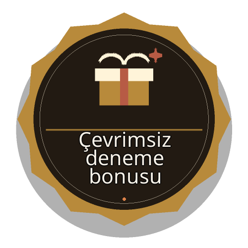 Bonus Koşulları Rehberi logosu